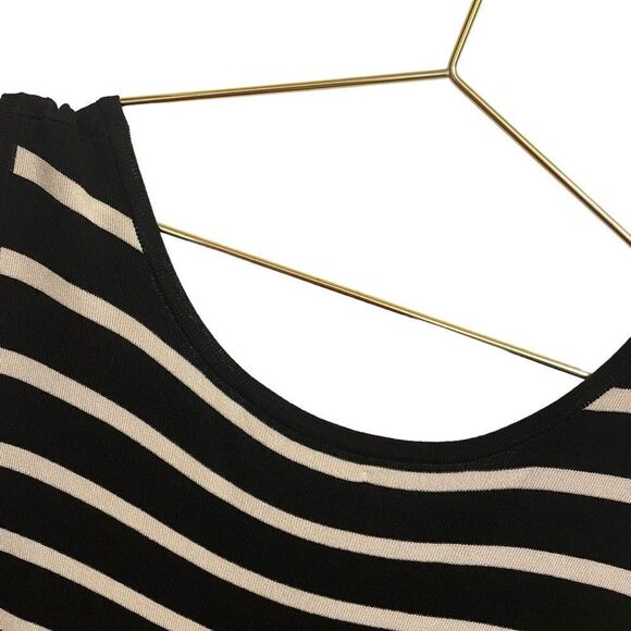 TravelSmith Sleeveless Scoop Neck Striped Knit Dress Navy White Large - Picture 6 of 7